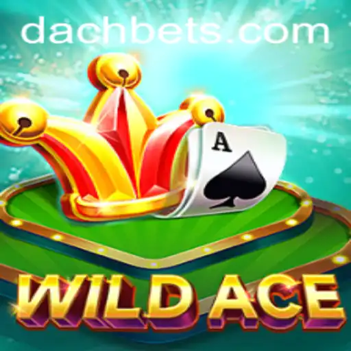 WildAce: Unleashing the Adventure with DachBet
